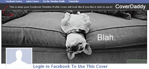 CoverDaddy adds humor to your Facebook cover photo